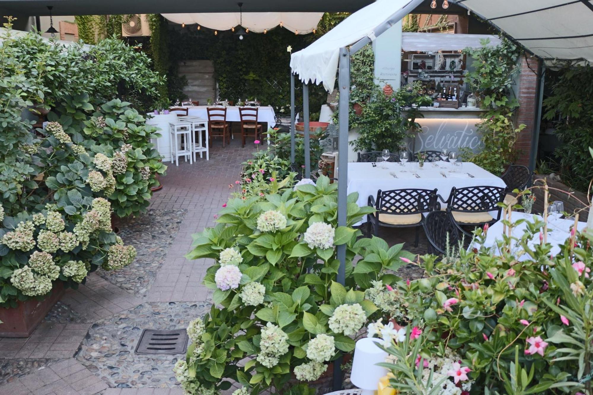 Albergo & Ristorante Selvatico Rivanazzano Terme Eksteriør bilde