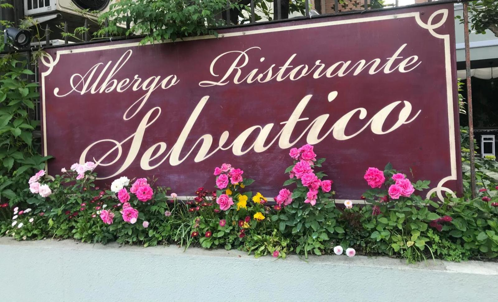 Albergo & Ristorante Selvatico Rivanazzano Terme Eksteriør bilde